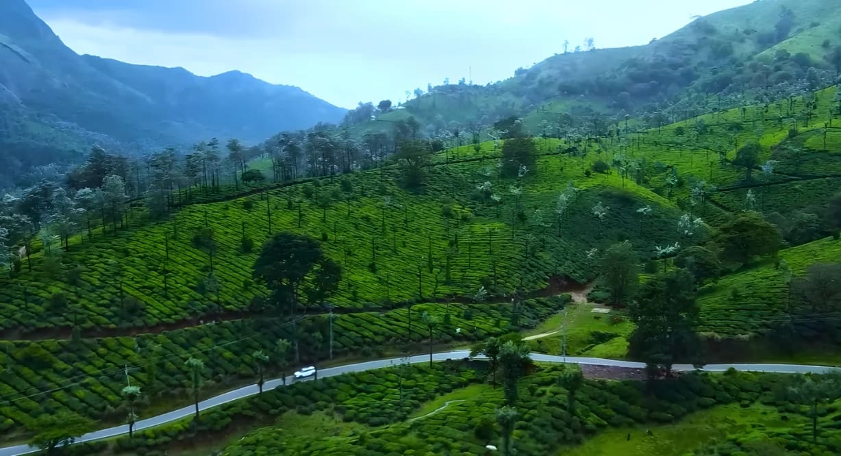 munnar kerala