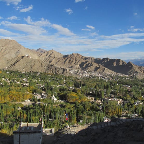 Manali Leh