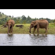 Odisha Wildlife Tour
