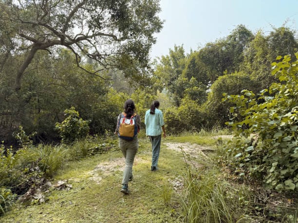 Bhitarkanika Tour