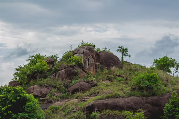 Daringbadi Tour