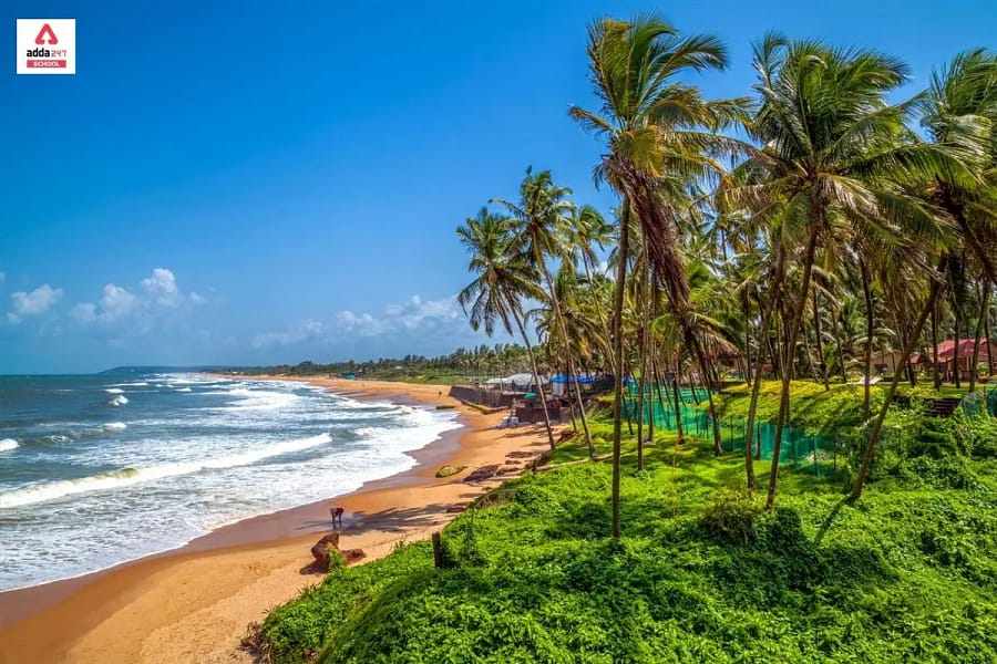 goa negotrip