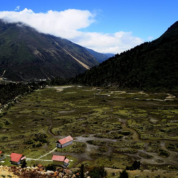 Chopta Valley