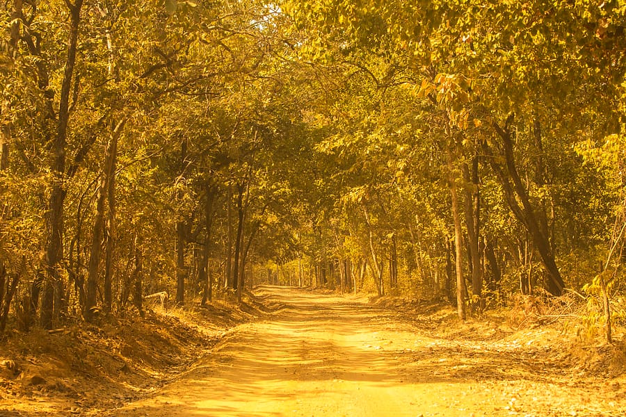 Debrigarh Wildlife Sanctuary