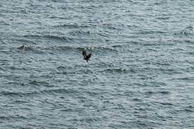 Diu Gujarat