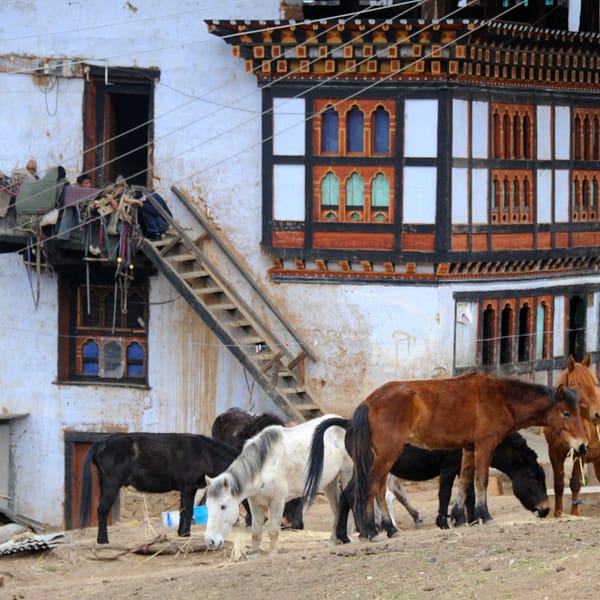 Drukgyel_Dzong_