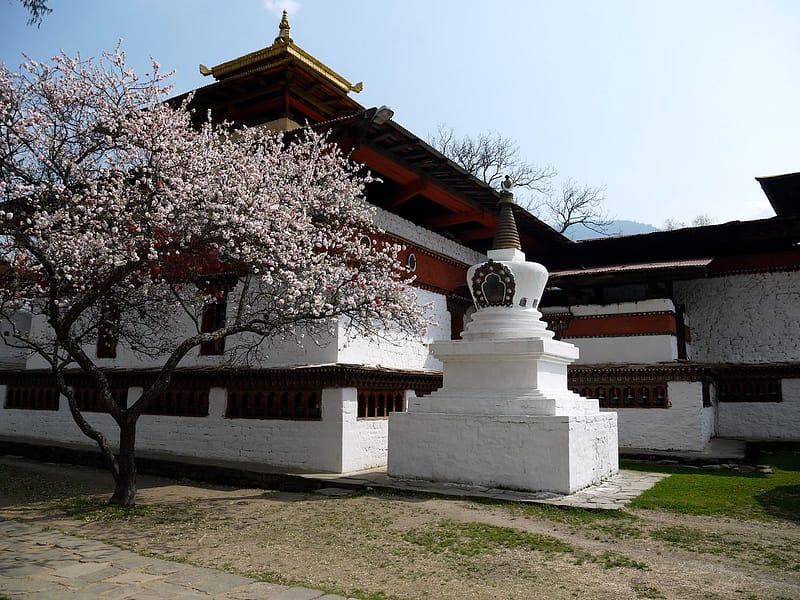 Kyichu Lhakhang Near Paro
