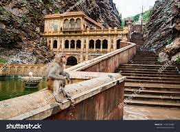Monkey Temple