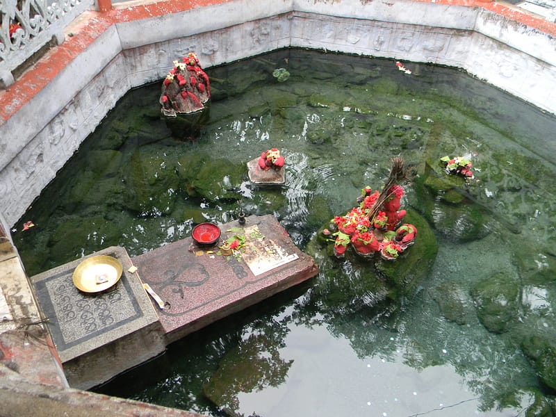 Tapta Pani