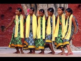 Odisha Tribal Tour