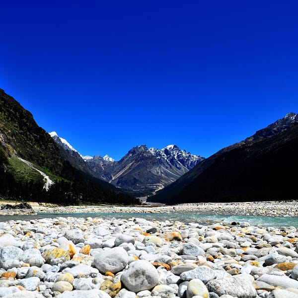 Yumthang Valley