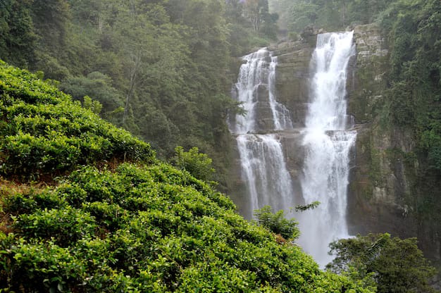 Daringbadi Tour