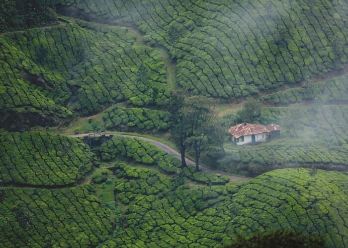 Kerala Tour Package