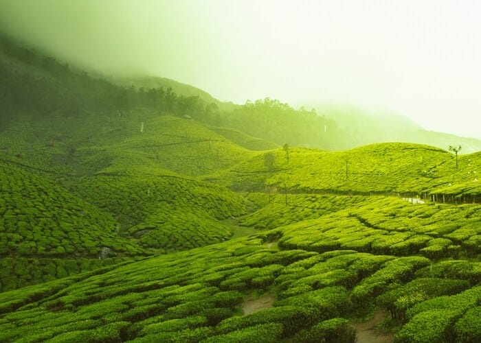 Summer Kerala Package